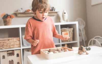 Why is toy rotation beneficial for children? 